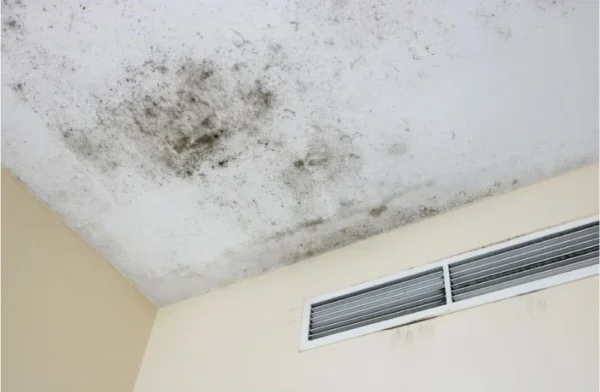 Do Air Purifiers Help With Mold? Expert HVAC Guide